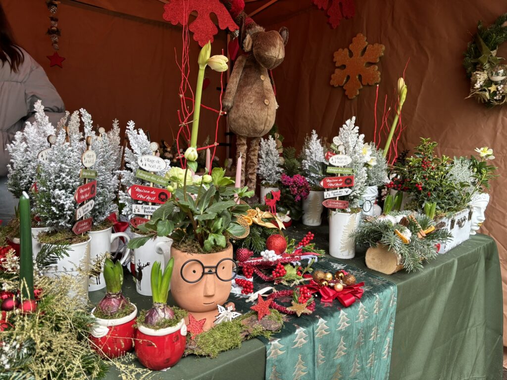 marche-noel-lycee-saint-jean-fleuriste-chdf-limoges-2023