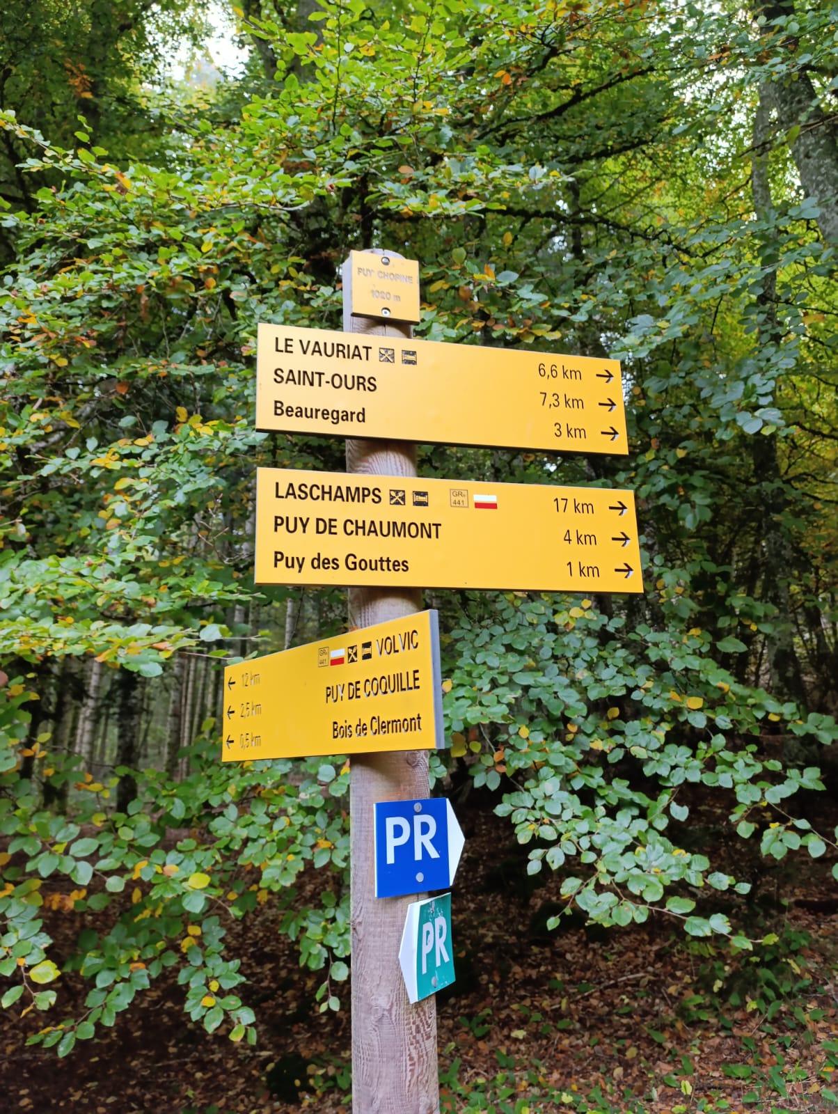 auvergne-college-saint-jean-01