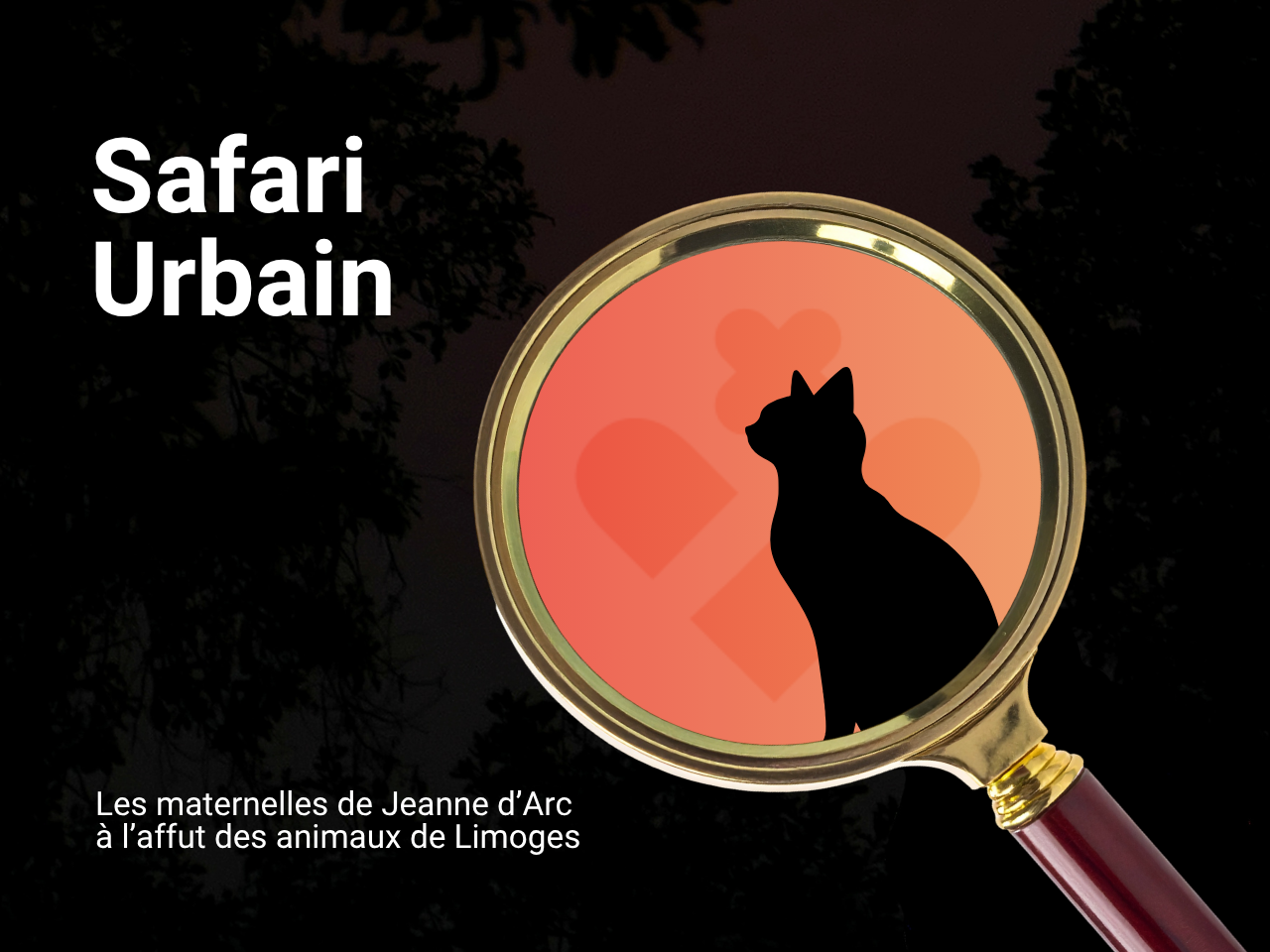 safari-urbain-limoges-ja