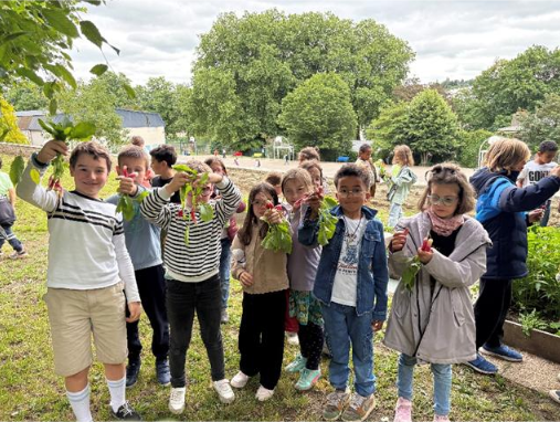 potager-ecole-jeanne-darc